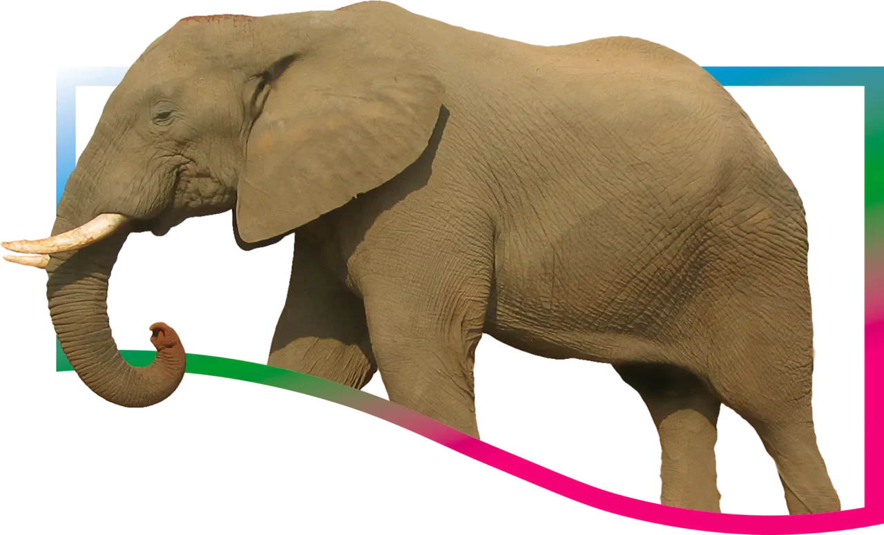 Comprehensive Demo Project Hero Image