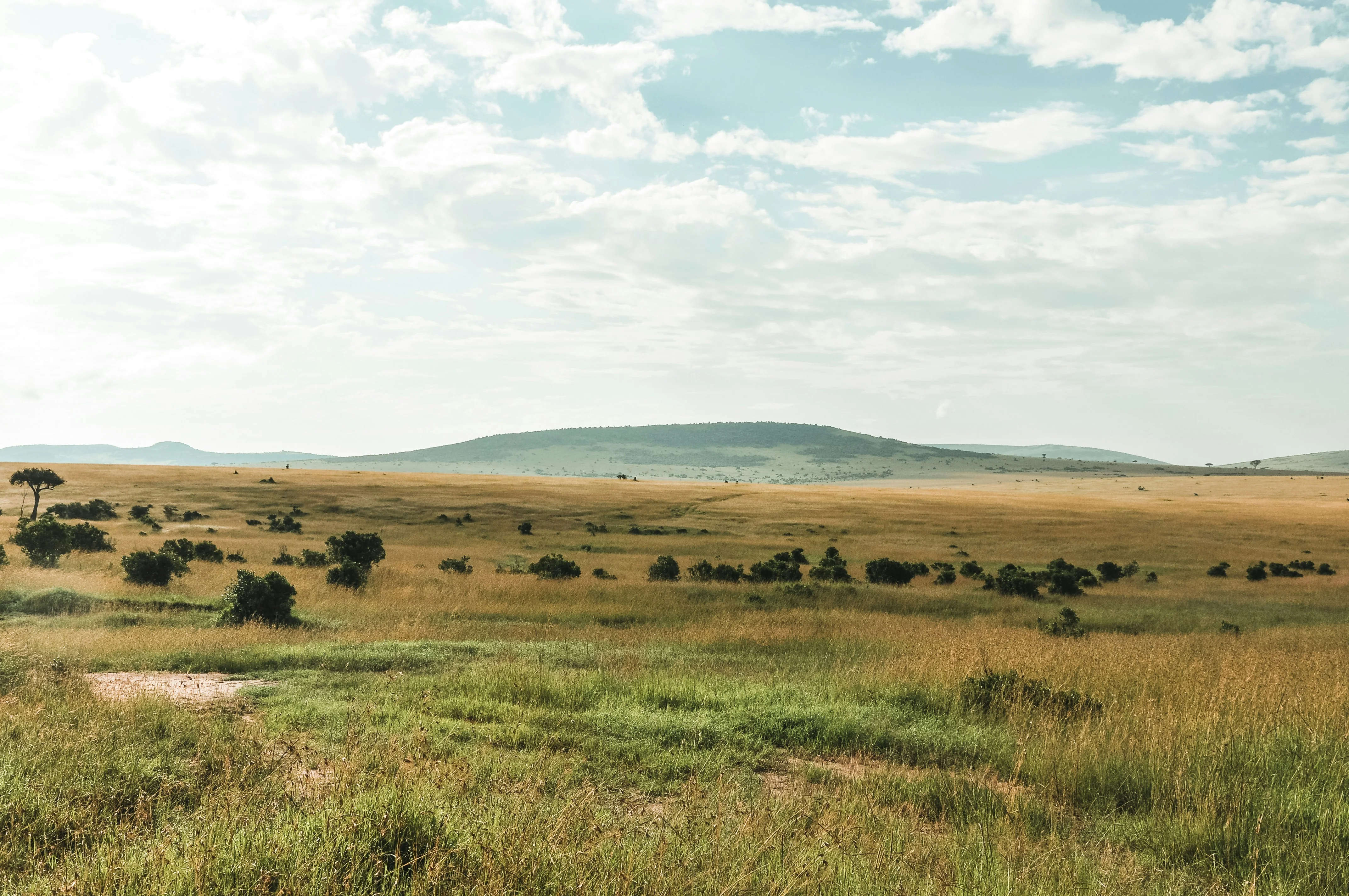 Innovate Tech Marketing Website